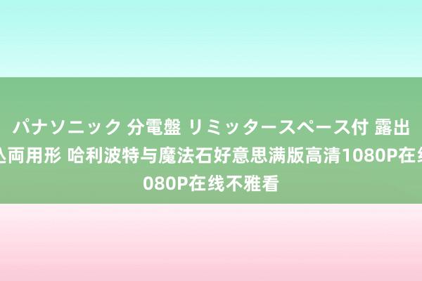パナソニック 分電盤 リミッタースペース付 露出・半埋込両用形 哈利波特与魔法石好意思满版高清1080P在线不雅看