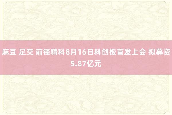 麻豆 足交 前锋精科8月16日科创板首发上会 拟募资5.87亿元