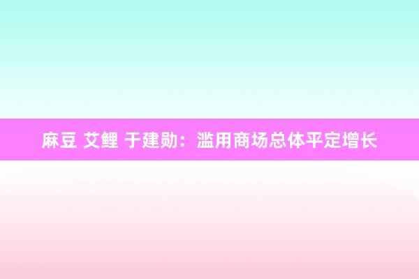 麻豆 艾鲤 于建勋：滥用商场总体平定增长
