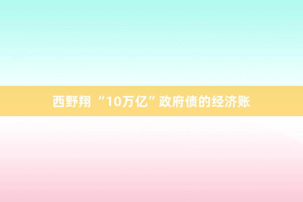 西野翔 “10万亿”政府债的经济账