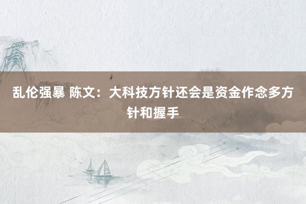 乱伦强暴 陈文：大科技方针还会是资金作念多方针和握手