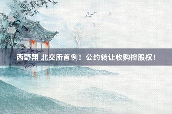 西野翔 北交所首例！公约转让收购控股权！