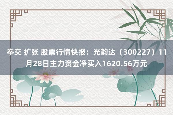 拳交 扩张 股票行情快报：光韵达（300227）11月28日主力资金净买入1620.56万元