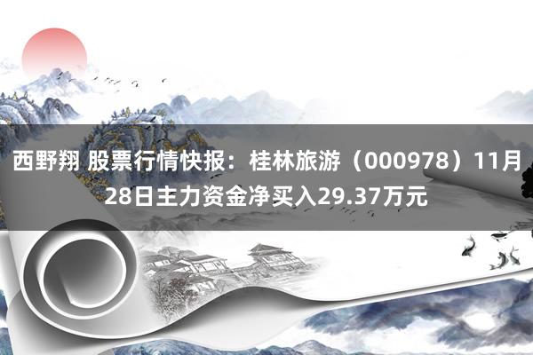 西野翔 股票行情快报：桂林旅游（000978）11月28日主力资金净买入29.37万元