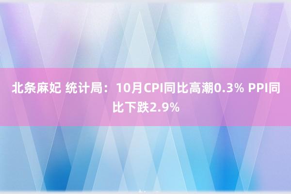 北条麻妃 统计局：10月CPI同比高潮0.3% PPI同比下跌2.9%
