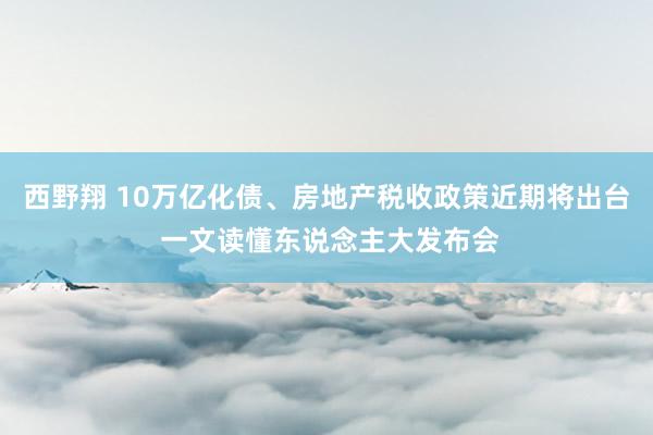 西野翔 10万亿化债、房地产税收政策近期将出台 一文读懂东说念主大发布会