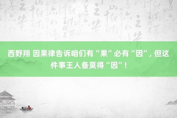 西野翔 因果律告诉咱们有“果”必有“因”, 但这件事王人备莫得“因”!