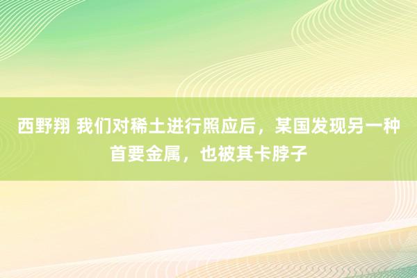西野翔 我们对稀土进行照应后，某国发现另一种首要金属，也被其卡脖子