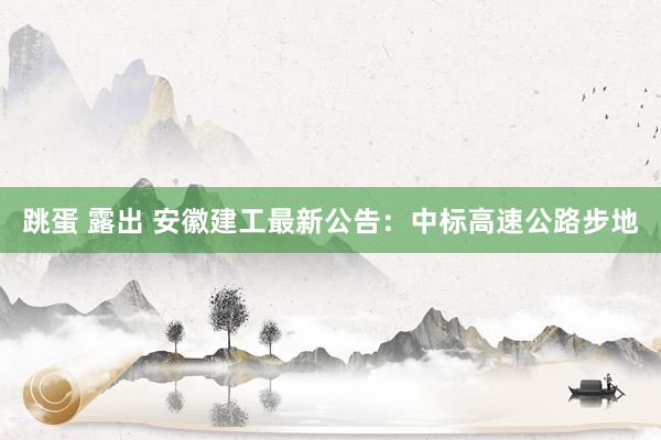 跳蛋 露出 安徽建工最新公告：中标高速公路步地