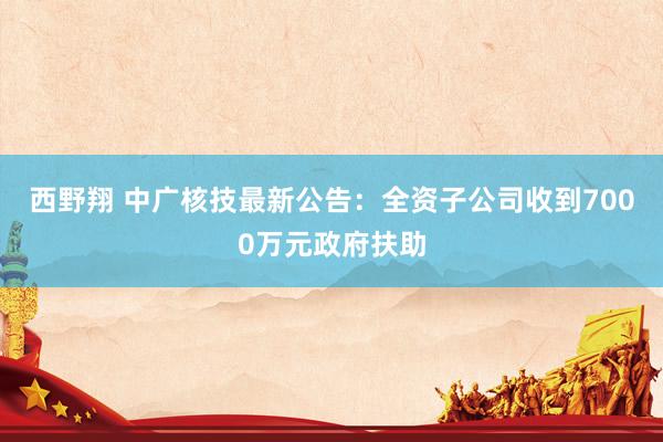 西野翔 中广核技最新公告：全资子公司收到7000万元政府扶助