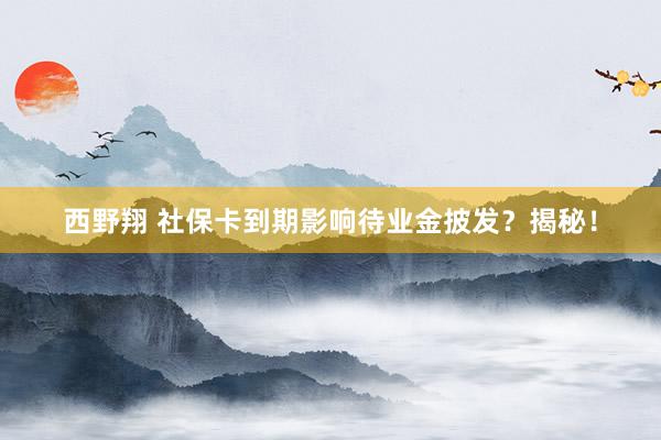 西野翔 社保卡到期影响待业金披发？揭秘！