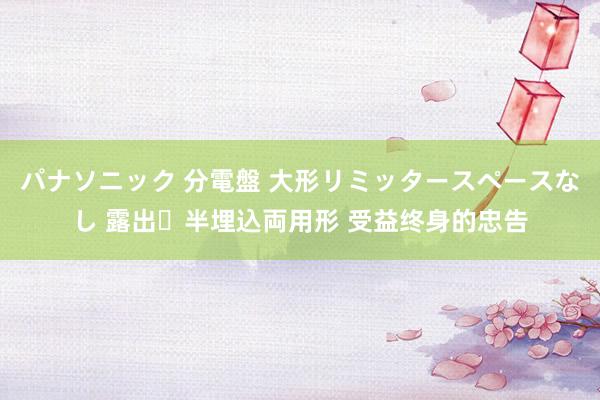 パナソニック 分電盤 大形リミッタースペースなし 露出・半埋込両用形 受益终身的忠告