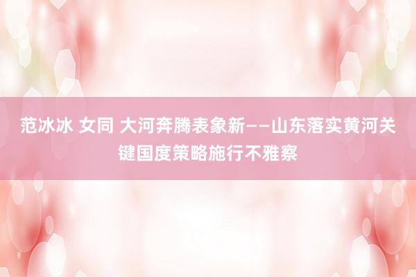 范冰冰 女同 大河奔腾表象新——山东落实黄河关键国度策略施行不雅察