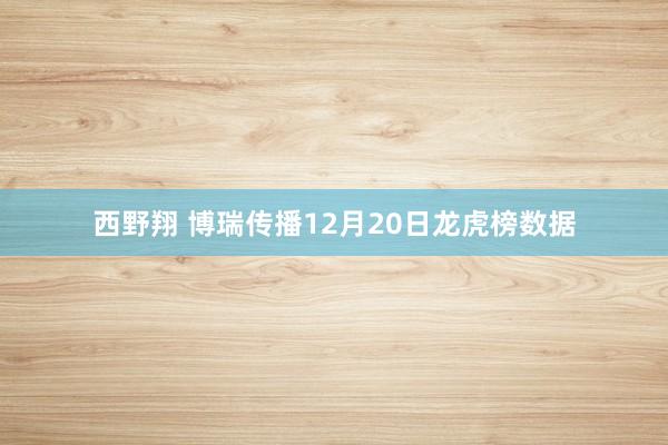西野翔 博瑞传播12月20日龙虎榜数据