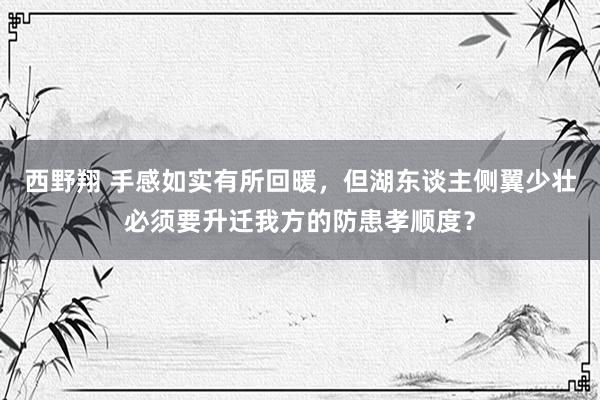 西野翔 手感如实有所回暖，但湖东谈主侧翼少壮必须要升迁我方的防患孝顺度？