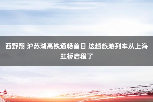 西野翔 沪苏湖高铁通畅首日 这趟旅游列车从上海虹桥启程了