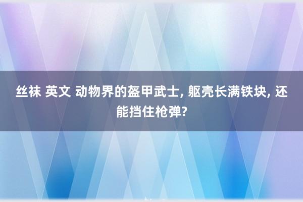 丝袜 英文 动物界的盔甲武士, 躯壳长满铁块, 还能挡住枪弹?