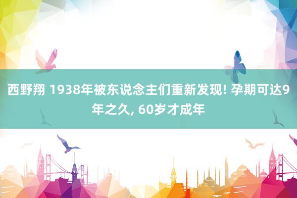西野翔 1938年被东说念主们重新发现! 孕期可达9年之久, 60岁才成年