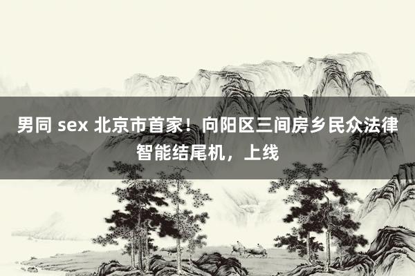 男同 sex 北京市首家！向阳区三间房乡民众法律智能结尾机，上线