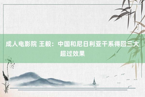 成人电影院 王毅：中国和尼日利亚干系得回三大超过效果