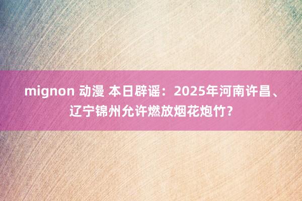 mignon 动漫 本日辟谣：2025年河南许昌、辽宁锦州允许燃放烟花炮竹？