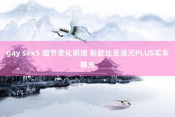 gay sex5 细节变化明细 新款比亚迪元PLUS实车曝光