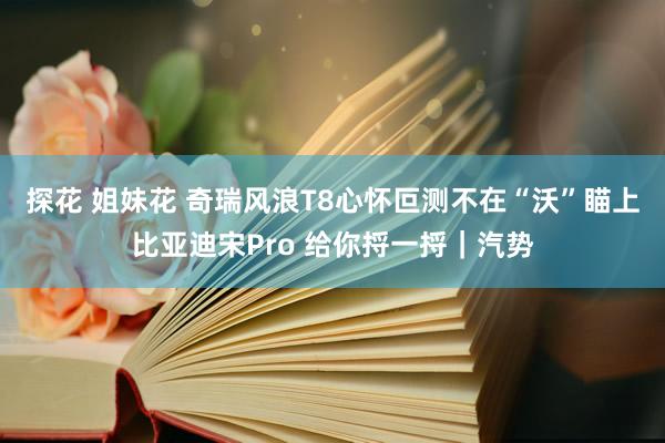 探花 姐妹花 奇瑞风浪T8心怀叵测不在“沃”瞄上比亚迪宋Pro 给你捋一捋｜汽势