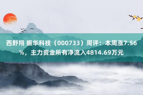 西野翔 振华科技（000733）周评：本周涨7.56%，主力资金所有净流入4814.69万元