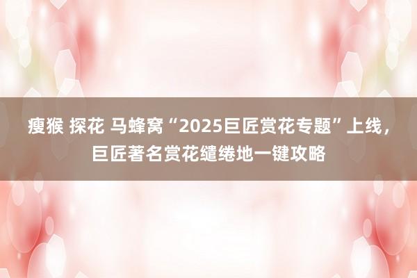 瘦猴 探花 马蜂窝“2025巨匠赏花专题”上线，巨匠著名赏花缱绻地一键攻略