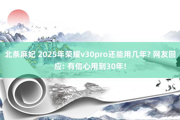 北条麻妃 2025年荣耀v30pro还能用几年? 网友回应: 有信心用到30年!