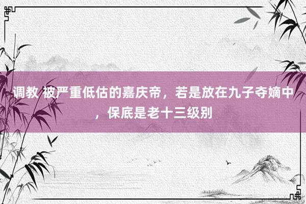 调教 被严重低估的嘉庆帝，若是放在九子夺嫡中，保底是老十三级别