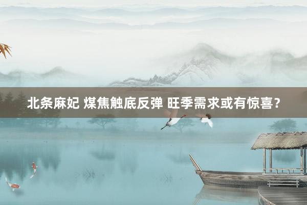 北条麻妃 煤焦触底反弹 旺季需求或有惊喜？
