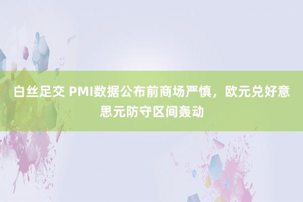 白丝足交 PMI数据公布前商场严慎，欧元兑好意思元防守区间轰动
