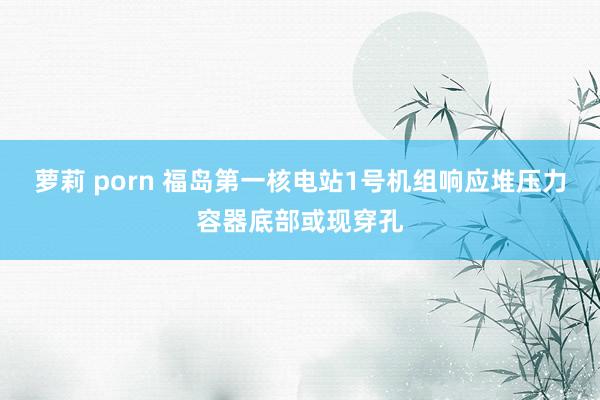 萝莉 porn 福岛第一核电站1号机组响应堆压力容器底部或现穿孔