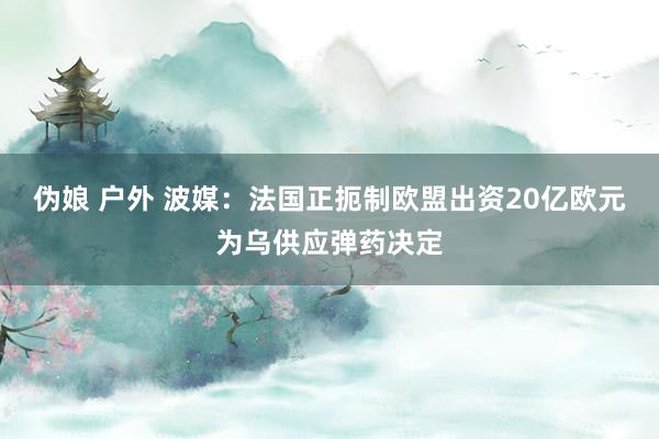 伪娘 户外 波媒：法国正扼制欧盟出资20亿欧元为乌供应弹药决定