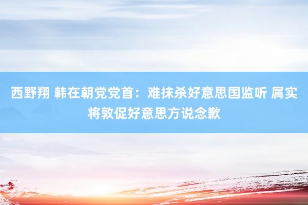西野翔 韩在朝党党首：难抹杀好意思国监听 属实将敦促好意思方说念歉