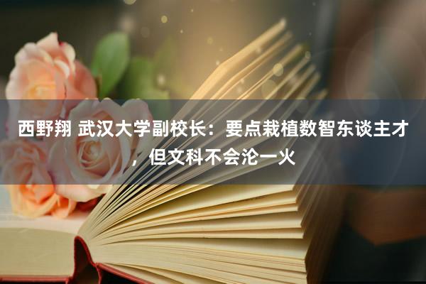 西野翔 武汉大学副校长：要点栽植数智东谈主才，但文科不会沦一火