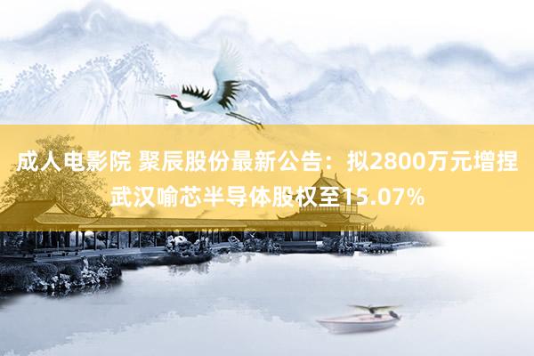 成人电影院 聚辰股份最新公告：拟2800万元增捏武汉喻芯半导体股权至15.07%