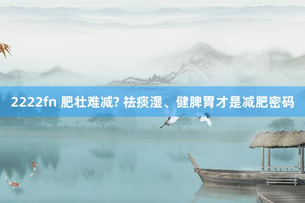 2222fn 肥壮难减? 祛痰湿、健脾胃才是减肥密码