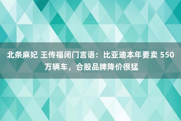 北条麻妃 王传福闭门言语：比亚迪本年要卖 550 万辆车，合股品牌降价很猛