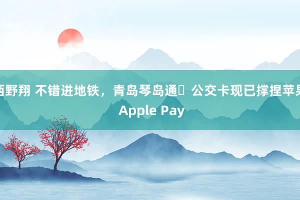西野翔 不错进地铁，青岛琴岛通・公交卡现已撑捏苹果 Apple Pay