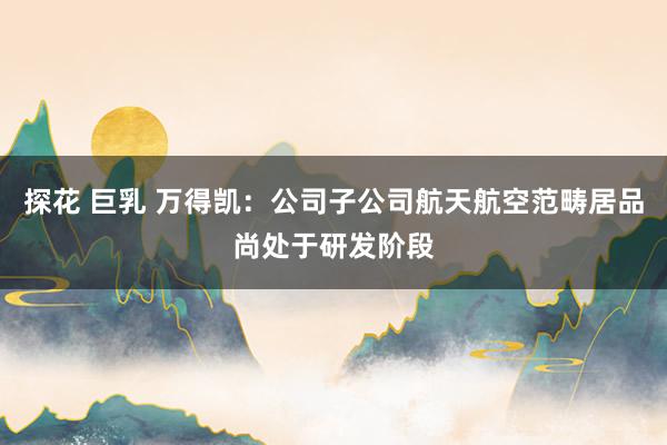 探花 巨乳 万得凯：公司子公司航天航空范畴居品尚处于研发阶段