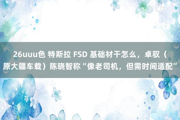 26uuu色 特斯拉 FSD 基础材干怎么，卓驭（原大疆车载）陈晓智称“像老司机，但需时间适配”