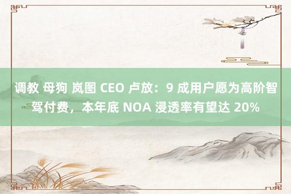 调教 母狗 岚图 CEO 卢放：9 成用户愿为高阶智驾付费，本年底 NOA 浸透率有望达 20%