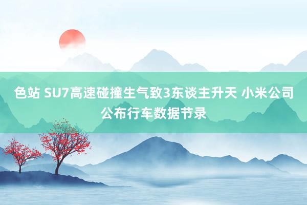 色站 SU7高速碰撞生气致3东谈主升天 小米公司公布行车数据节录