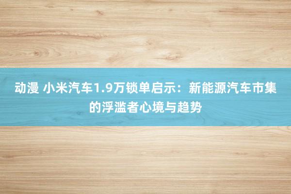 动漫 小米汽车1.9万锁单启示：新能源汽车市集的浮滥者心境与趋势