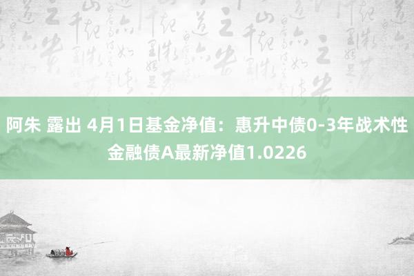阿朱 露出 4月1日基金净值：惠升中债0-3年战术性金融债A最新净值1.0226