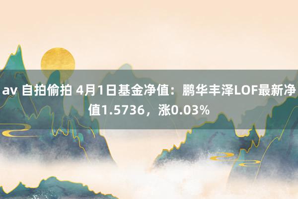 av 自拍偷拍 4月1日基金净值：鹏华丰泽LOF最新净值1.5736，涨0.03%