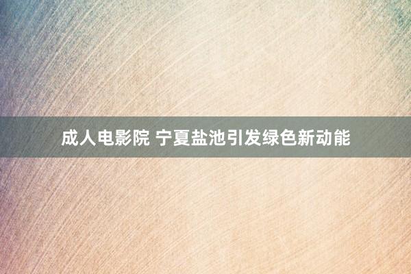 成人电影院 宁夏盐池引发绿色新动能
