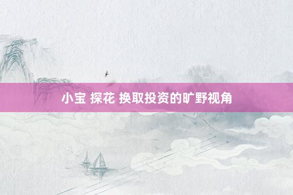 小宝 探花 换取投资的旷野视角